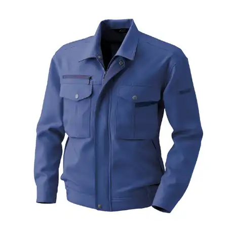 010 パープルブルー