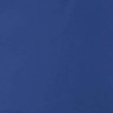 fr9200 3. ロイヤルブルー